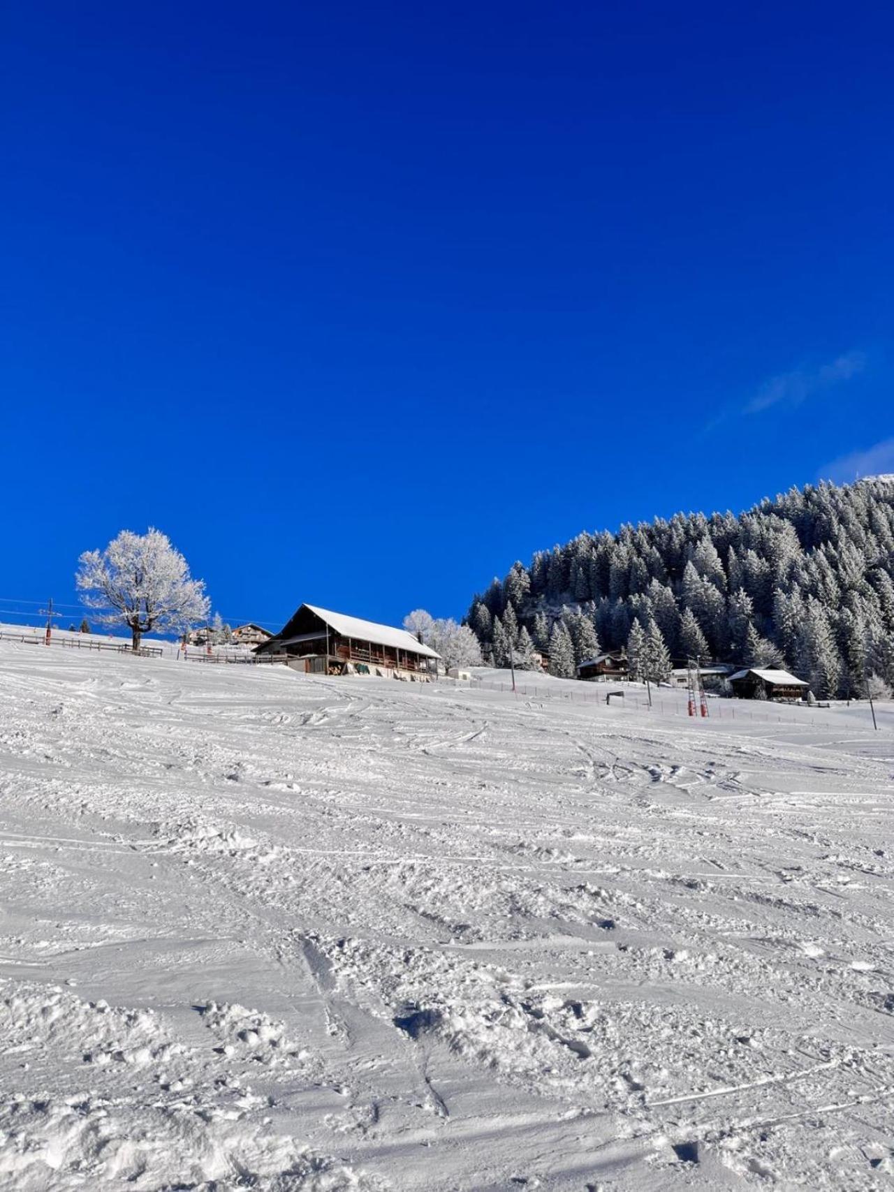 Chalet Oz Vitznau Exterior photo